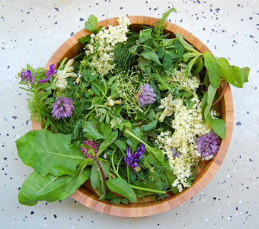 Kräutermärchen im Vitalpinum mit Barbara Brunner